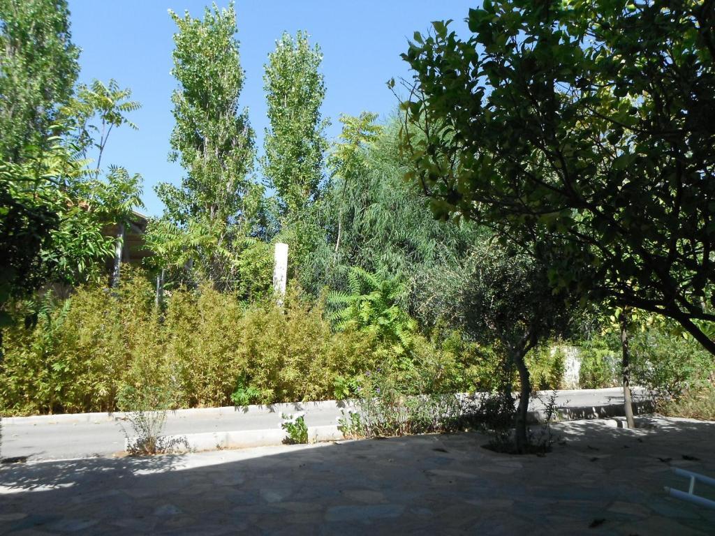 Mandorla Apartments Lartos Room photo
